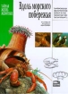 Вдоль морского побережья Серия: Тайная жизнь животных инфо 4123l.