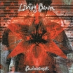 Living Colour Collideoscope Формат: Audio CD (Jewel Case) Дистрибьюторы: Sanctuary Records, Концерн "Группа Союз" Лицензионные товары Характеристики аудионосителей 2005 г Альбом инфо 4714l.