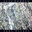 Cary Hudson Cool Breeze Формат: Audio CD (Jewel Case) Дистрибьютор: Glitterhouse Records Лицензионные товары Характеристики аудионосителей 2005 г Альбом инфо 4859l.