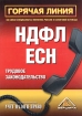 Горячая линия Трудовое законодательство, НДФЛ, ЕСН Издательство: Вершина, 2005 г Мягкая обложка, 216 стр ISBN 5-9626-0058-4 Тираж: 3000 экз Формат: 60x90/16 (~145х217 мм) инфо 8904n.