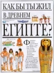 Как бы ты жил среди викингов? Издательство: АСТ Суперобложка, 49 стр ISBN 5-88196-327-Х Тираж: 11000 экз Формат: 84x104/32 (~220x240 мм) инфо 10337n.